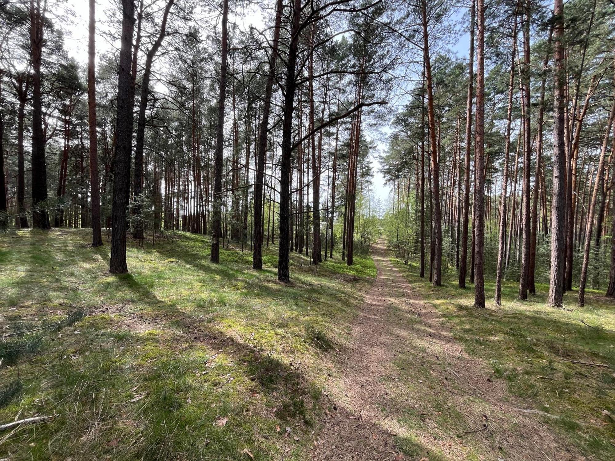 Ferienhaus Fjola Schenkendobern Екстер'єр фото